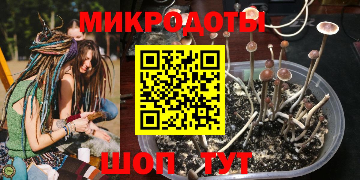 Псилоцибиновые грибы GOLDEN TEACHER  Вход с VPN  Воронеж 